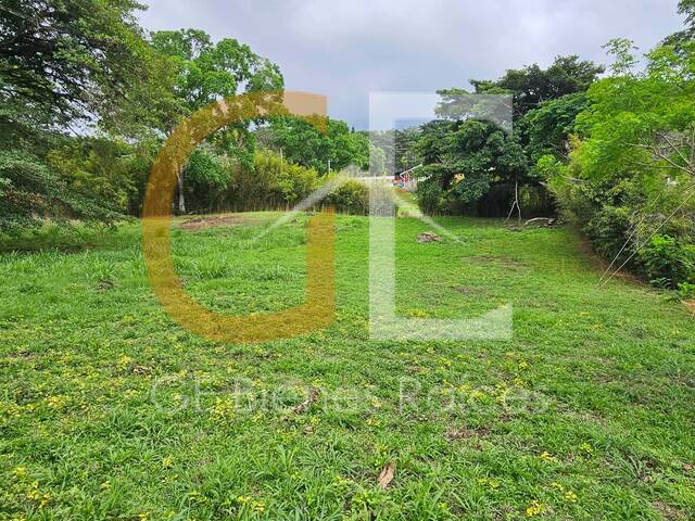 #19 - Área para Venta en Naranjo - A